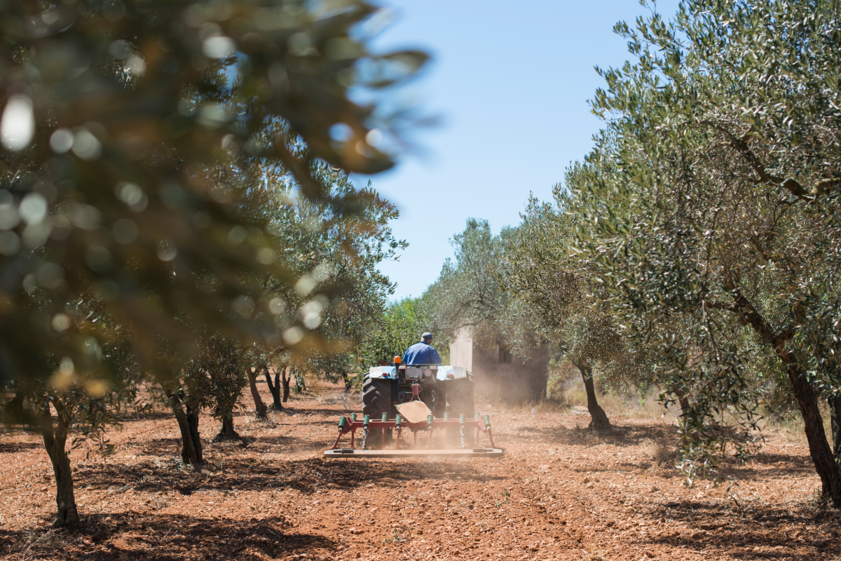 Plan Reno 2025: todo lo que debes saber